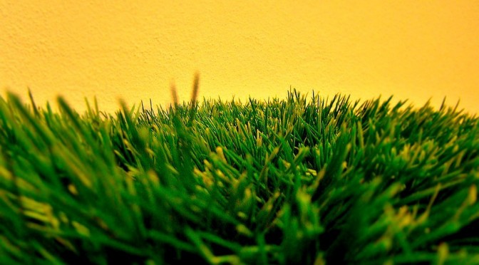 The Truth About Artificial Turf Injuries